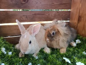 Claude & Sieneke