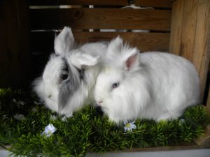 Nigel en Jenna
