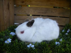 June